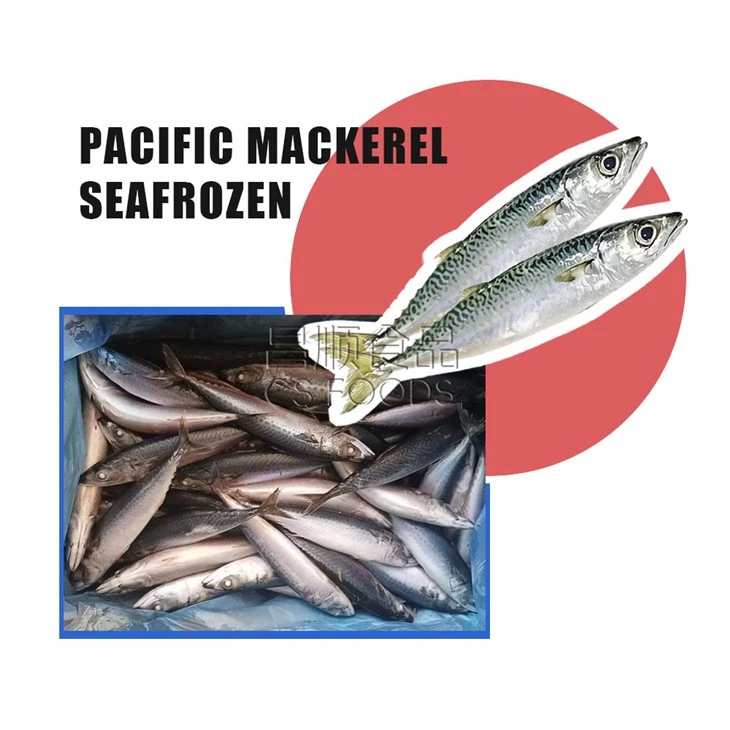 A Seafrozen Pacific Mackerel